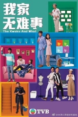 我家无难事国语国语 我家无难事国语国语