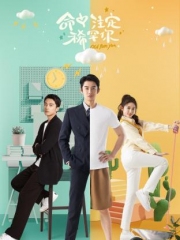 命中注定稀罕你 命中注定稀罕你