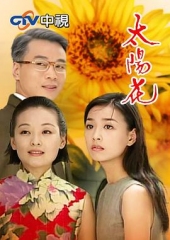 太阳花1998 太阳花1998