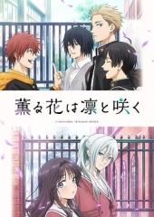 薰香花朵凛然绽放 薰香花朵凛然绽放