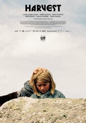 收成2024 收成2024