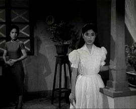 嫂夫人粤语 嫂夫人粤语