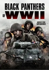 二战黑豹 二战黑豹