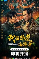 我当卧底这件事 我当卧底这件事